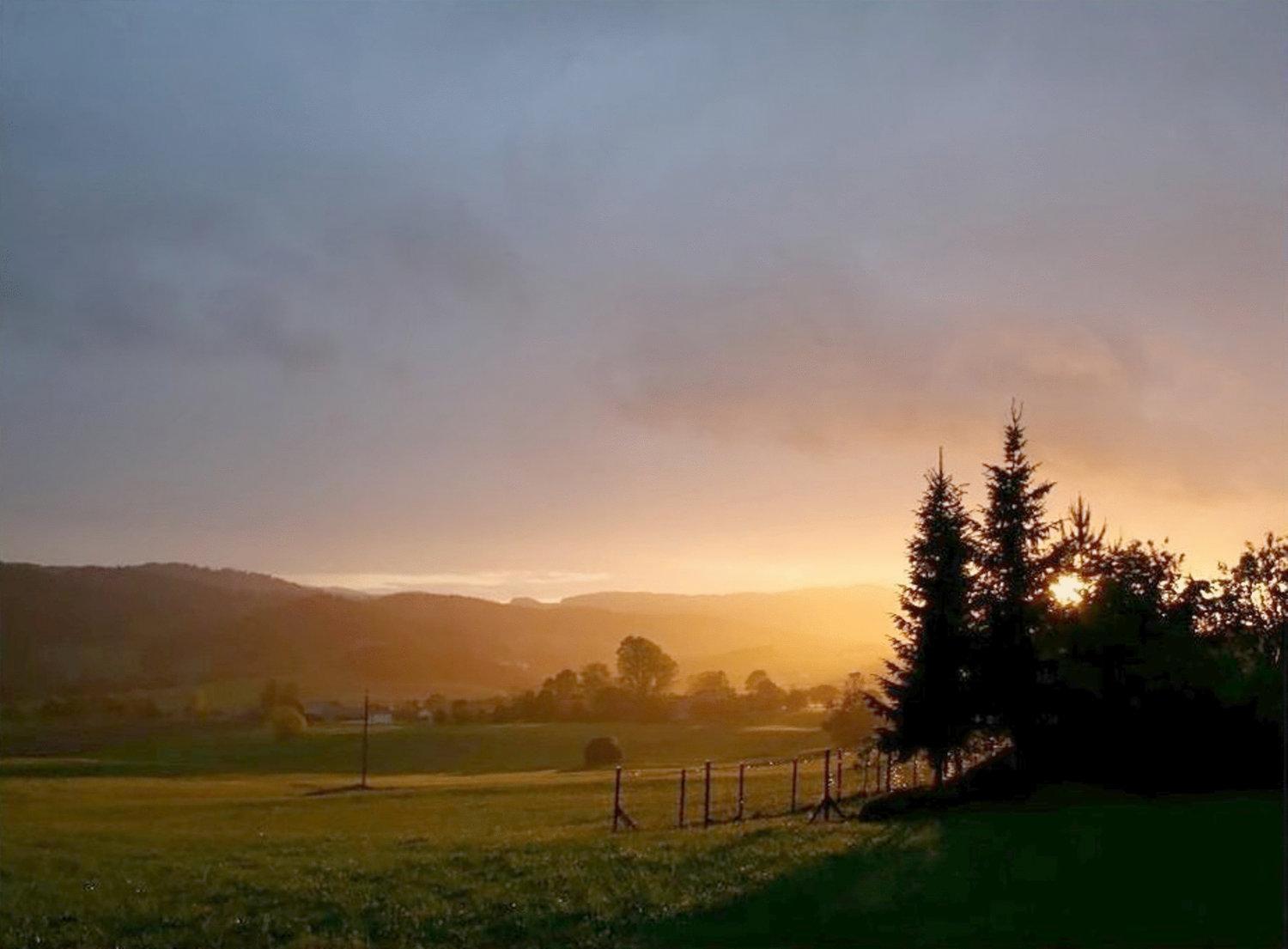 Kucher'S Landhotel Darscheid ภายนอก รูปภาพ